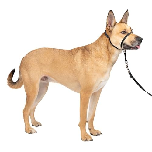 PetSafe Gentle Leader Headcollar